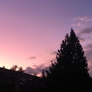 Meet your Posher, Hayden